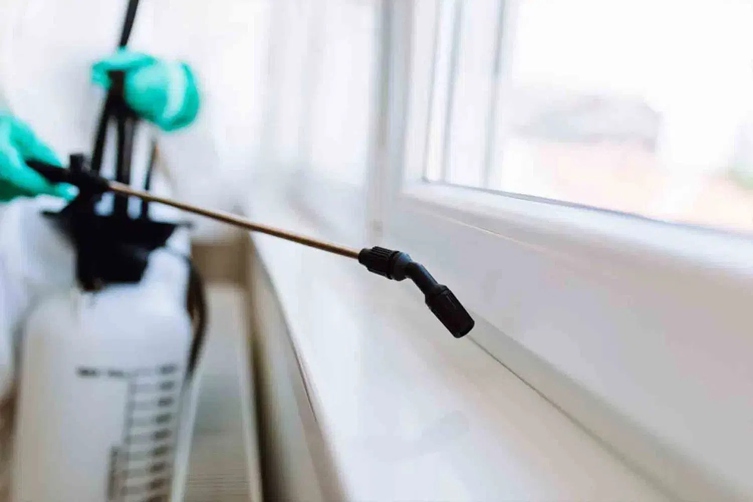 انجام خدمات سمپاشی|خدمات نظافت|زاهدان, |دیوار