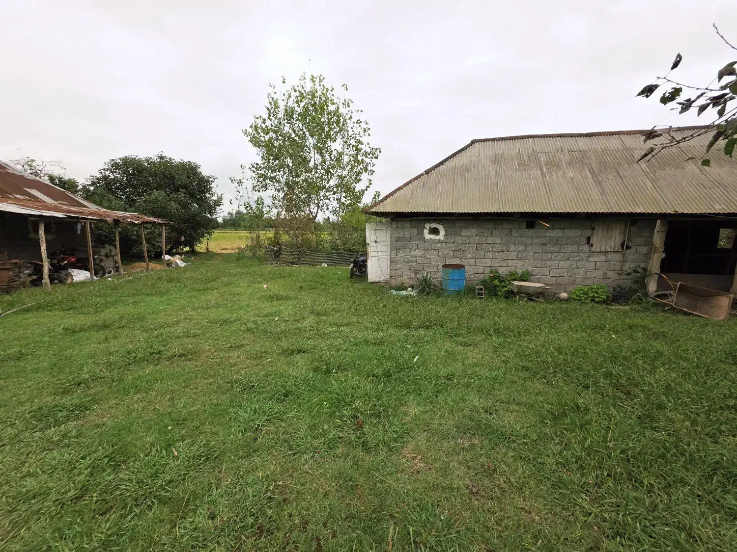 کدپرش/زمین مسکونی+کشاورزی بیجاربرنج۲۱هزارمترسنگر|فروش زمین و ملک کلنگی|کوچصفهان, |دیوار