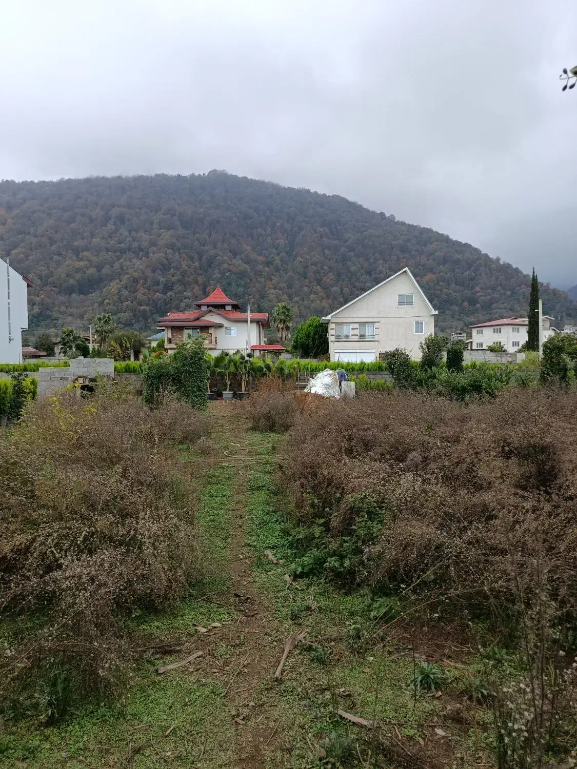 فروش زمین ۳۰۰ متری مسکونی منطقه سرولات|فروش زمین و ملک کلنگی|چابکسر, |دیوار