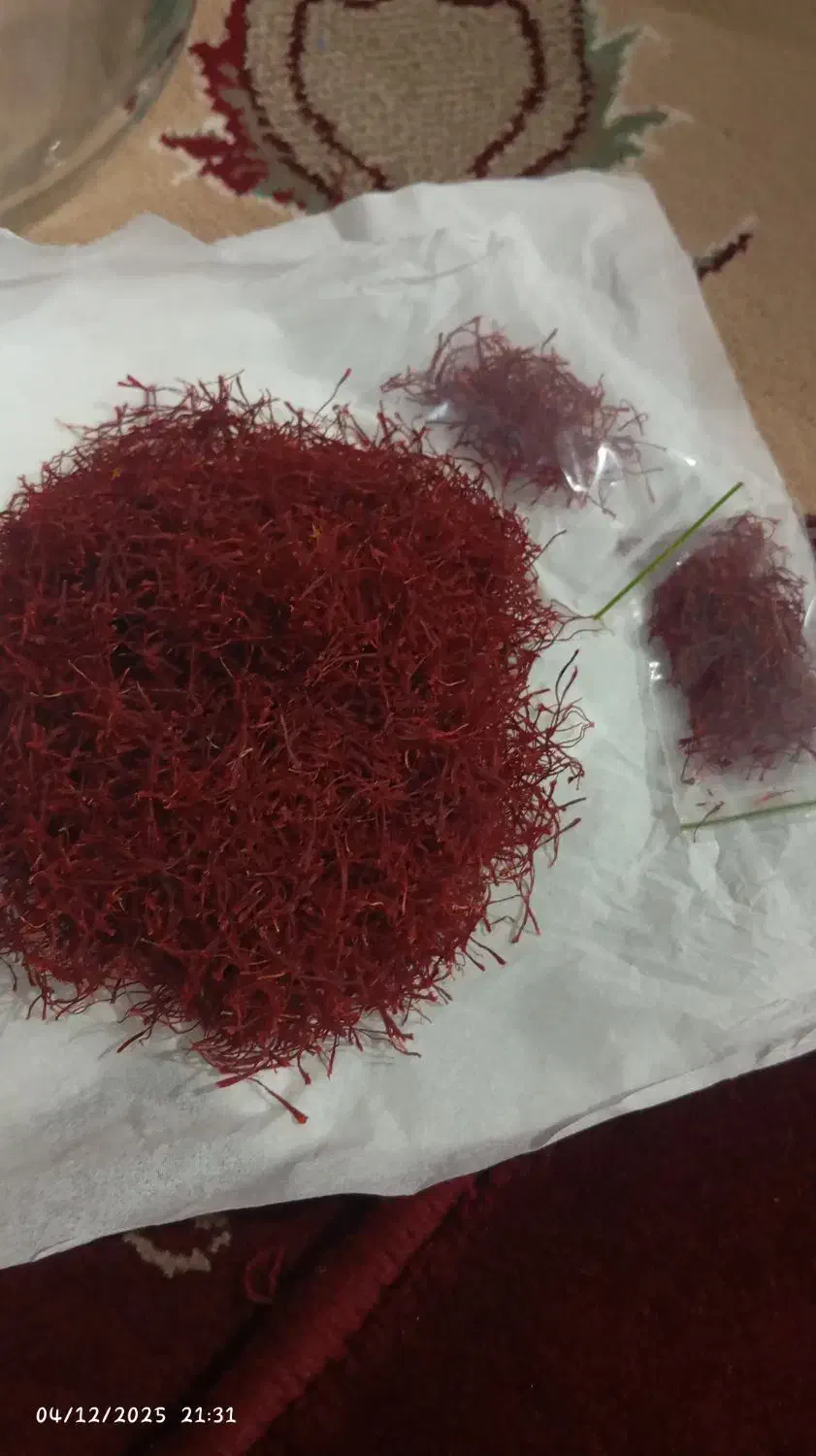 زعفران|گل و گیاه طبیعی|الشتر, |دیوار