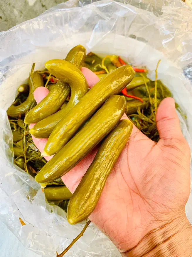 خیارشور سطلی 8 کیلو خالص|عمده‌فروشی|اهواز, شریعتی جنوبی|دیوار