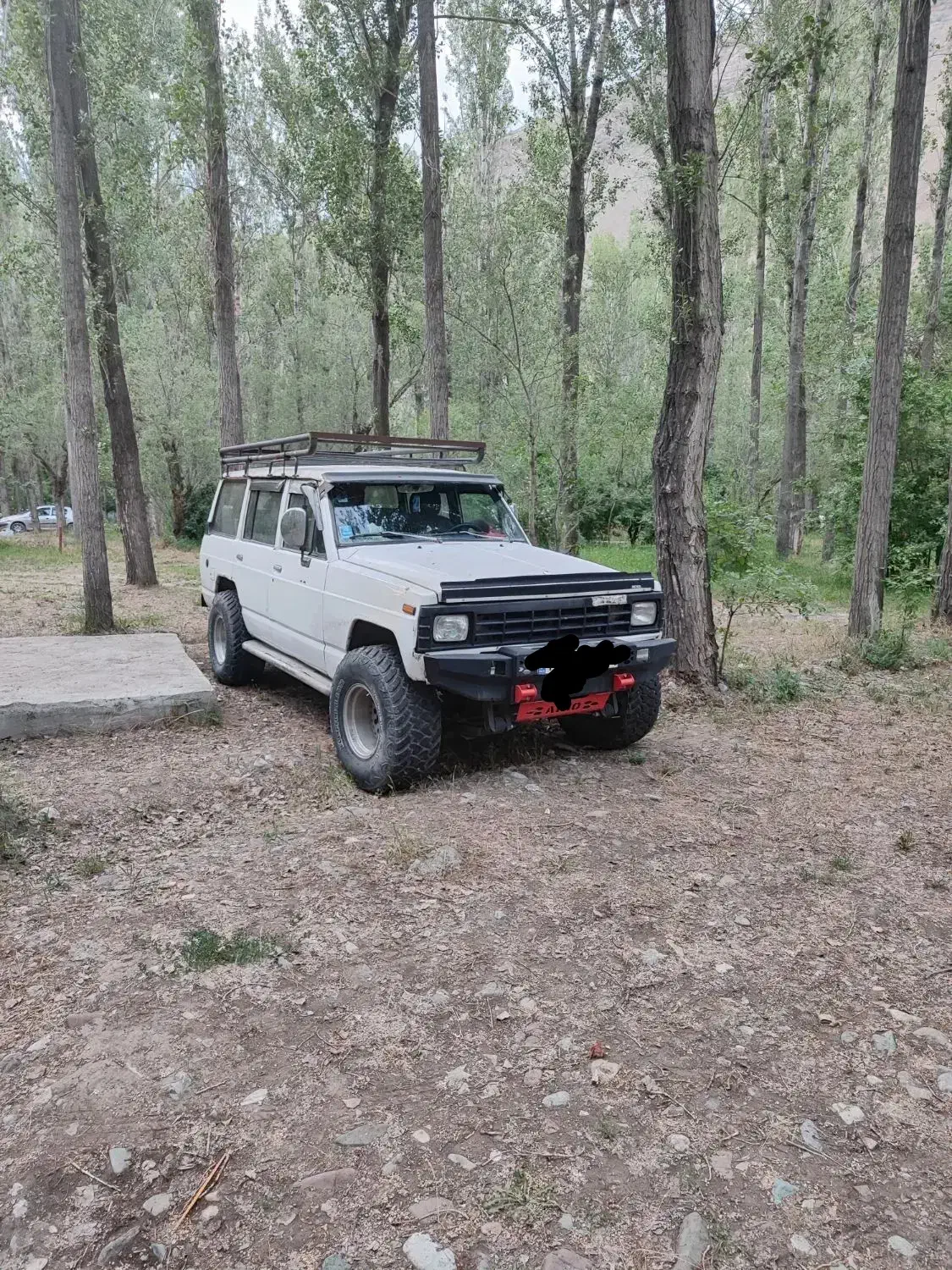 پاترول ۴ در ۶ سیلندر|خودرو سواری و وانت|تهران, پیکان شهر|دیوار