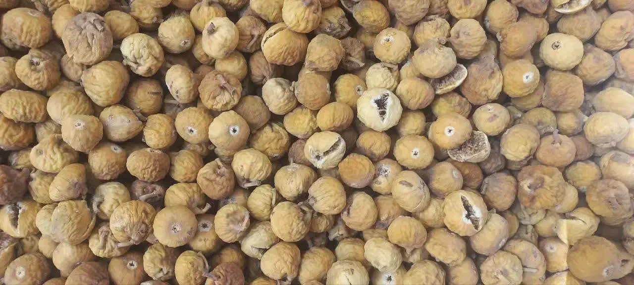 انجیر استهبان درجه یک خشک|خوردنی و آشامیدنی|قم, باجک سه|دیوار