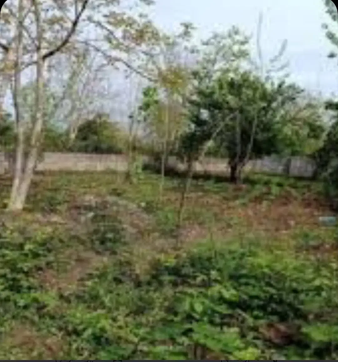 فروش زمین مسکونی،۵۴۰متراماده ساخت|فروش زمین و ملک کلنگی|رشت, خمیران زاهدان|دیوار