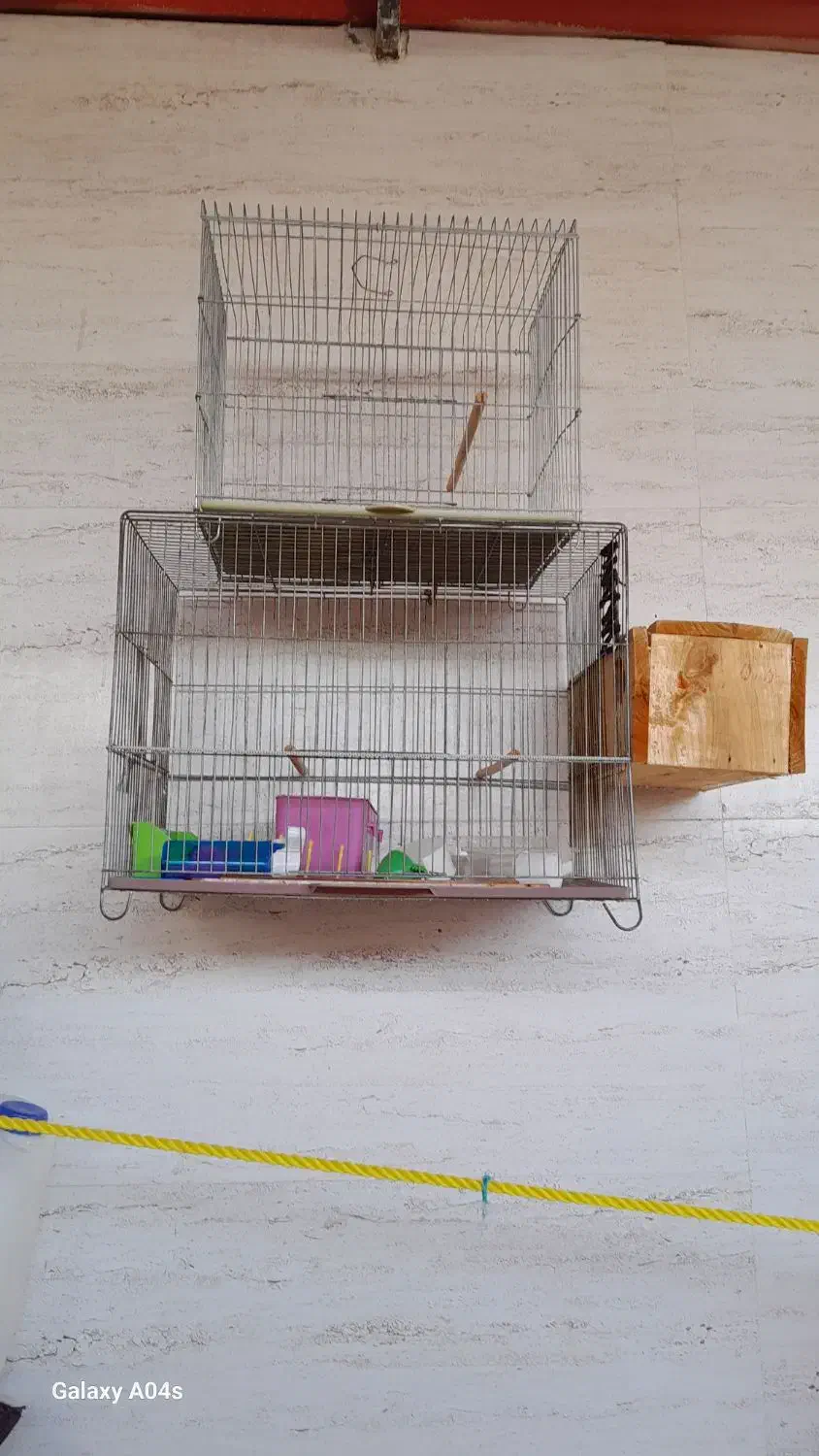 قفس|لوازم جانبی حیوانات|برازجان, |دیوار