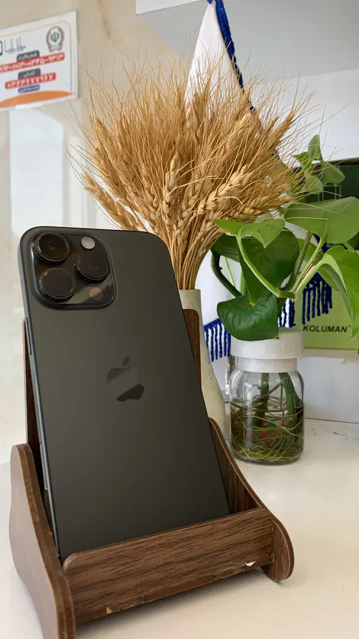 ip 16PROMAX|خدمات رایانه‌ای و موبایل|تفت, |دیوار