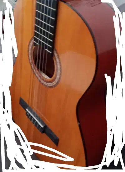 گیتار|گیتار، بیس، امپلیفایر|تربتحیدریه, طالقانی|دیوار