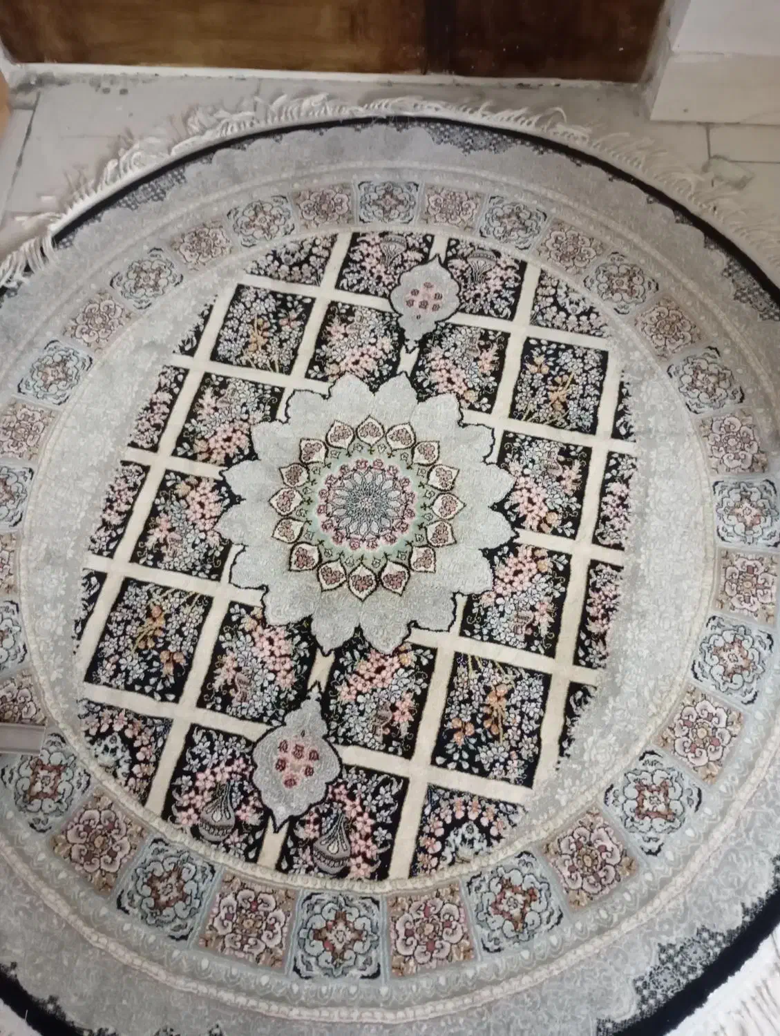 دوتافرش گرد|فرش|شاهرود, |دیوار