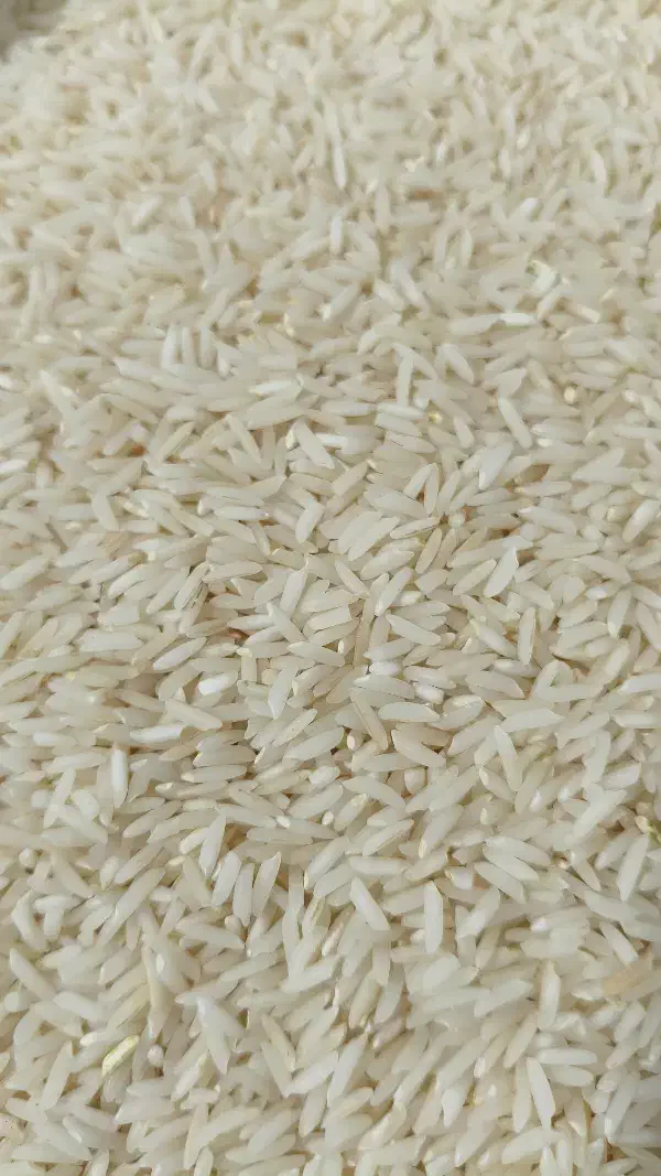 برنج هاشمی دره رود|خوردنی و آشامیدنی|اصلاندوز, |دیوار