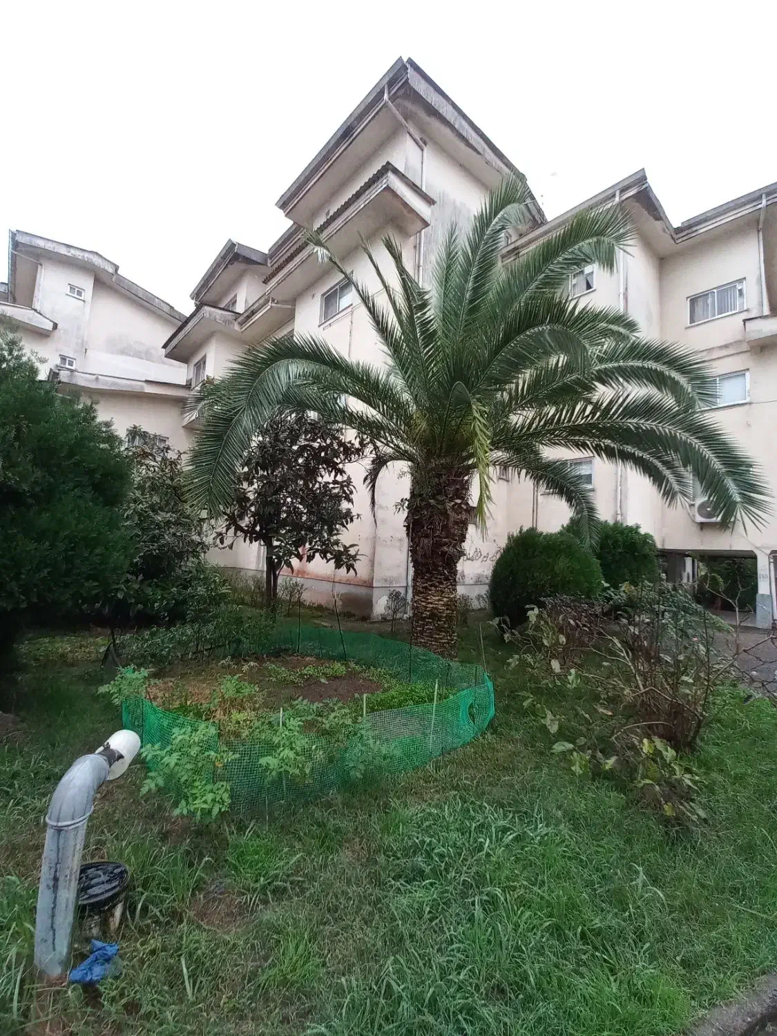 زمین / شهرکی / ساحلی / ۲۵۰۰ متری / کیاشهر|فروش زمین و ملک کلنگی|رشت, منظریه|دیوار