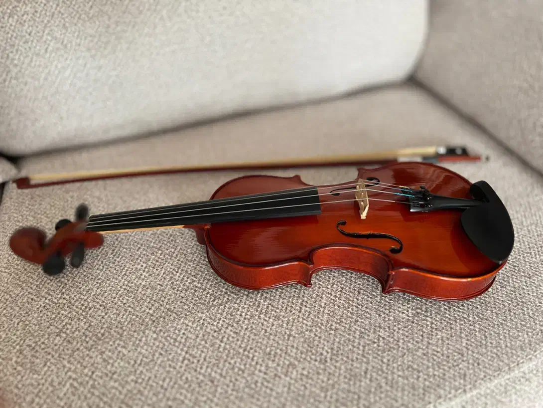 ویلن سایز3/4|ویولن|سنندج, |دیوار