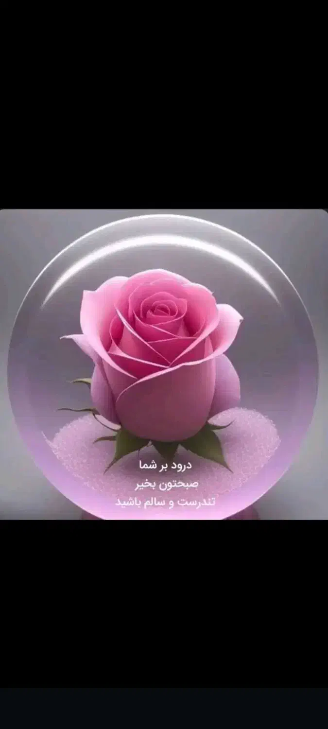 مدارک گم شده شهرام بویری|اشیا|مسجد سلیمان, |دیوار