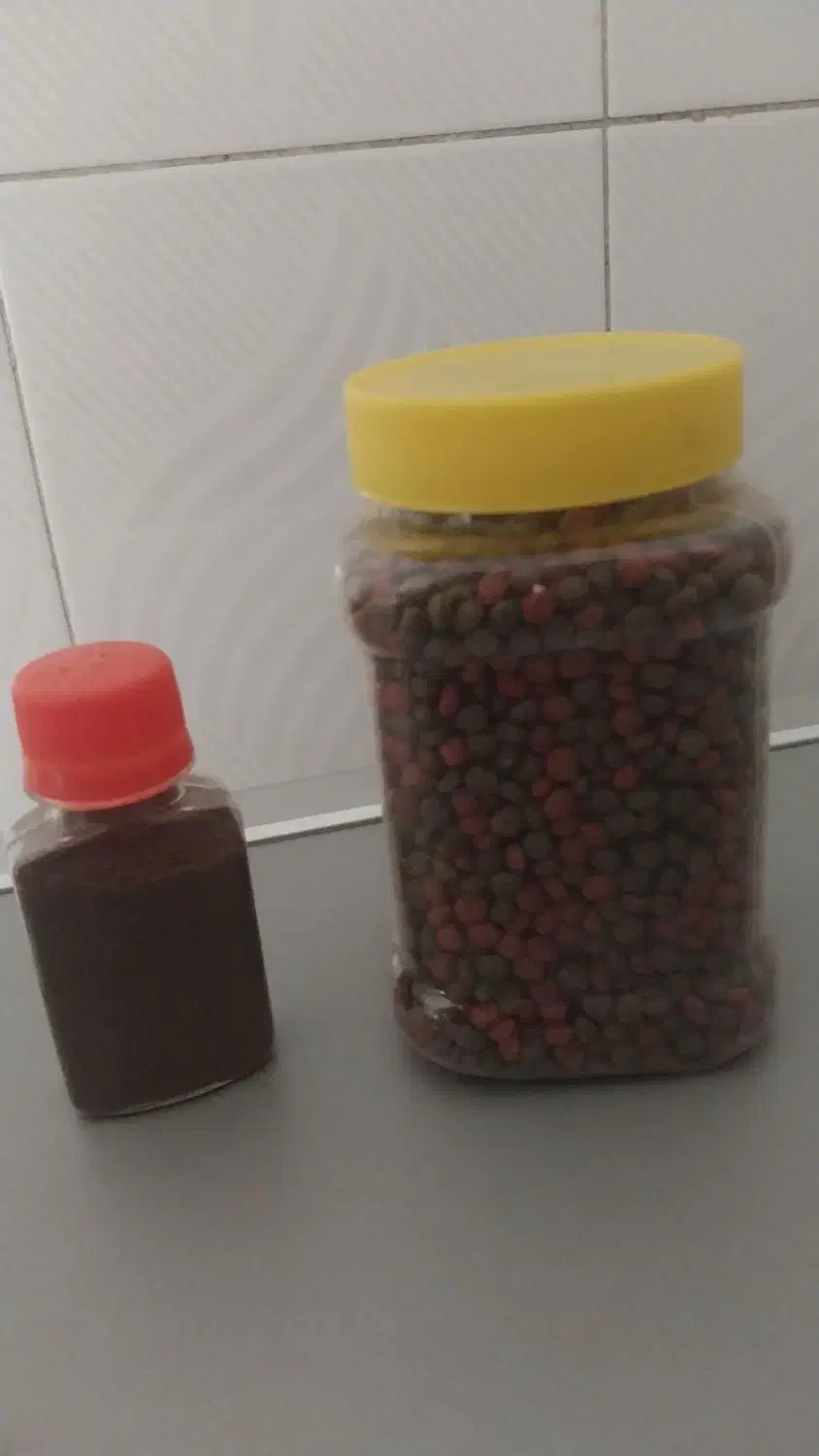 غذای ماهی|ماهی|نیشابور, مازول|دیوار