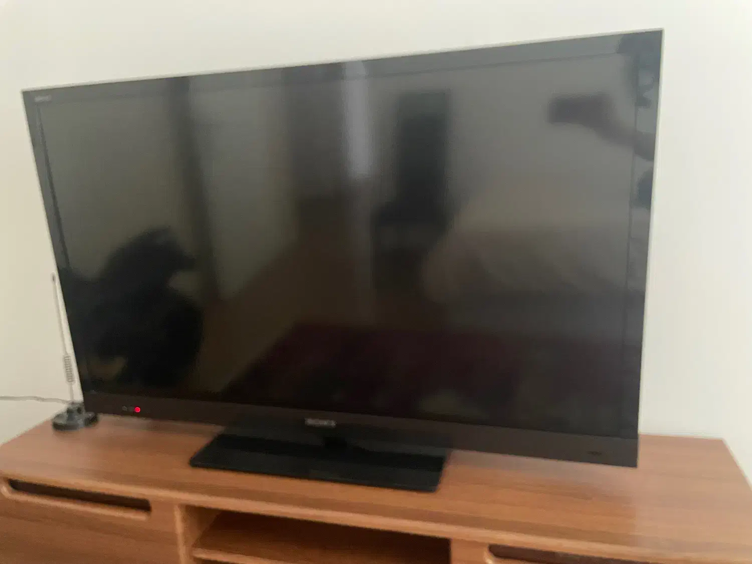 تلویزیون سونی ۴۶ اینچ|تلویزیون و پروژکتور|رشت, کاکتوس|دیوار