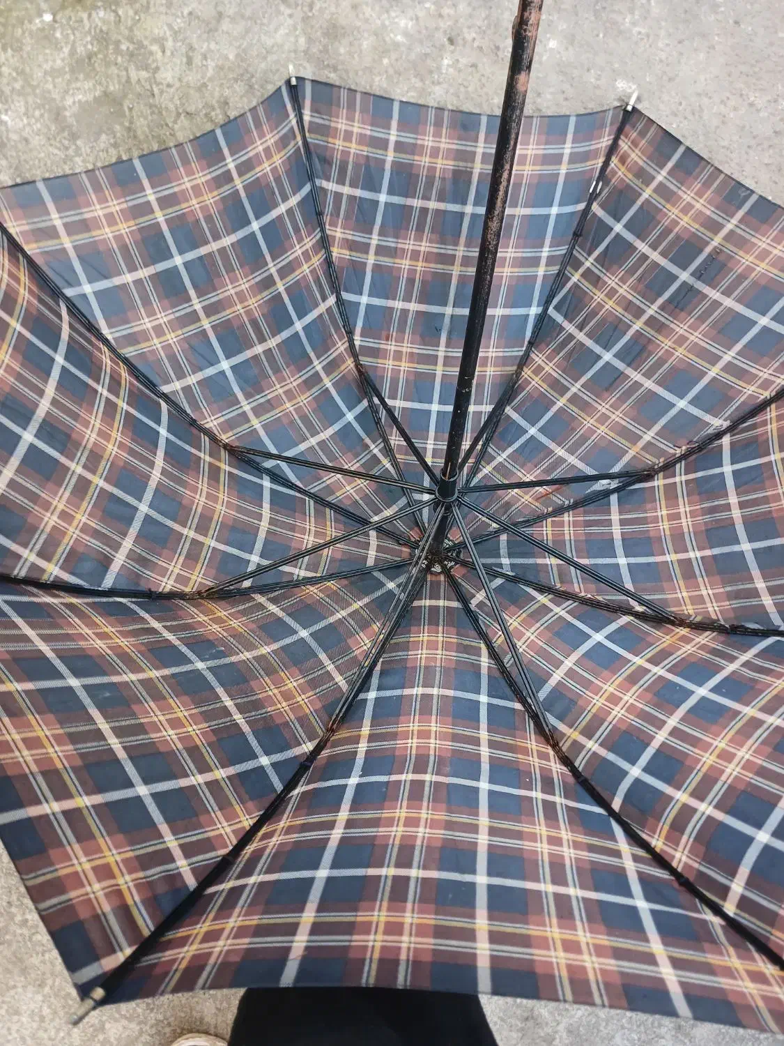 چتر|زیورآلات و اکسسوری|آستارا, |دیوار