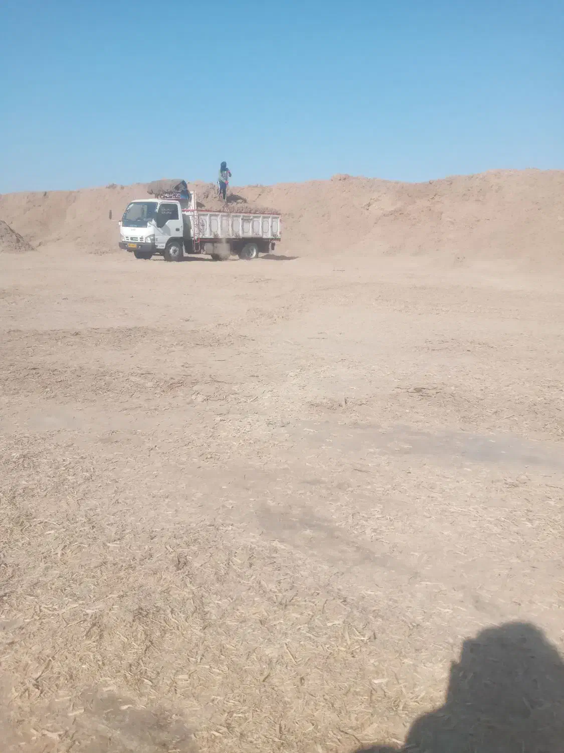 کاه نیشکر مخصوص گاو وگوسفند|لوازم جانبی حیوانات|ویسیان, |دیوار