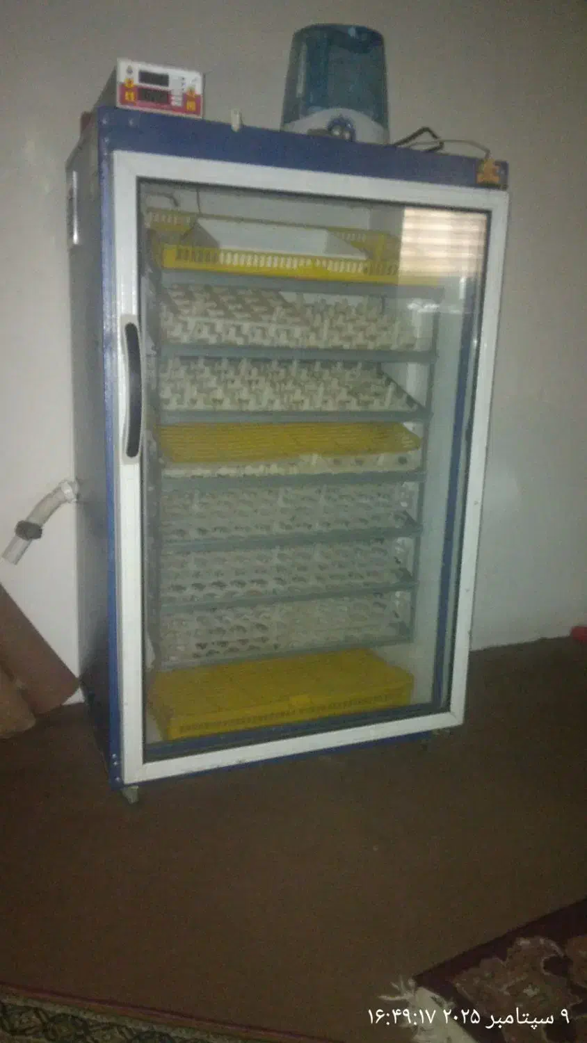 دستگاه جوجه کشی|لوازم جانبی حیوانات|رشت, رشتیان|دیوار