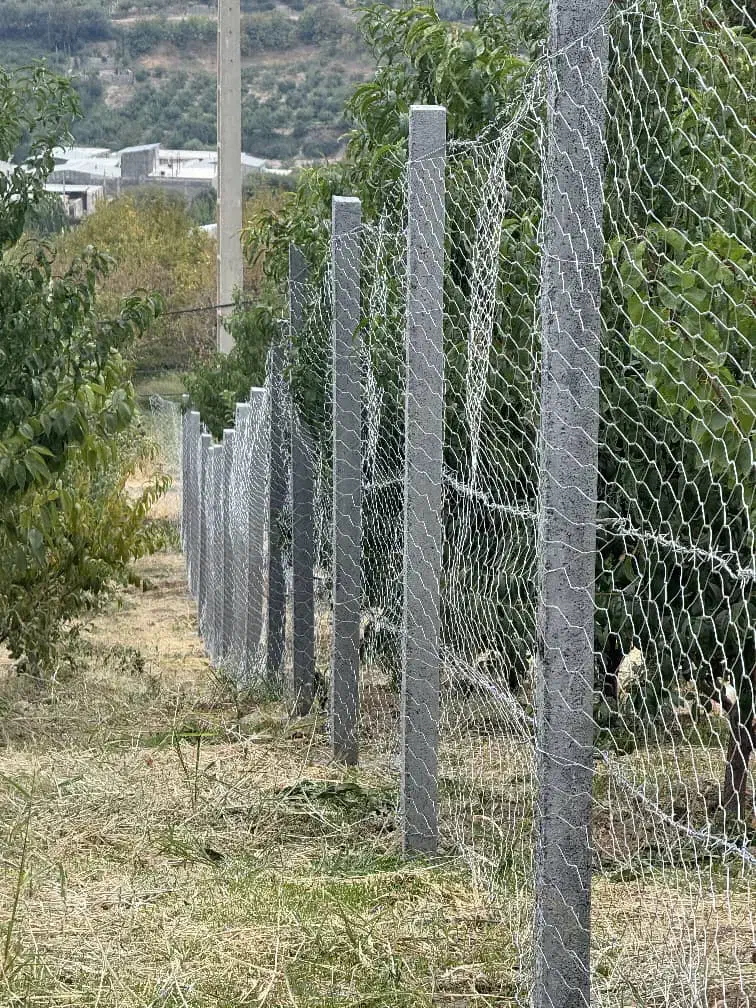 ۱۰۵۰ مترباغ فنس کشی شده سنددار گلدشت شیخمیری سادات|فروش زمین و ملک کلنگی|بروجرد, |دیوار