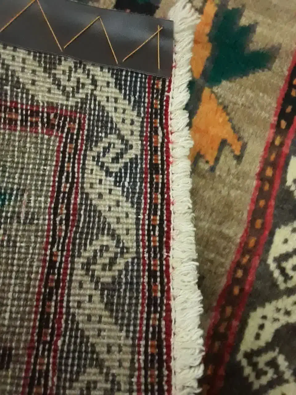 پادری زیبا گوشتدار شسته تمیز همدان|پادری|هشتگرد, شهرک گلخانه|دیوار