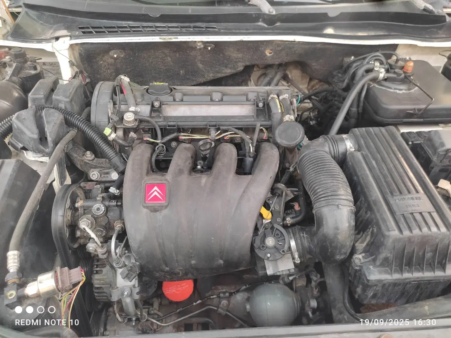 زانتیا|خودرو سواری و وانت|سراوان, |دیوار