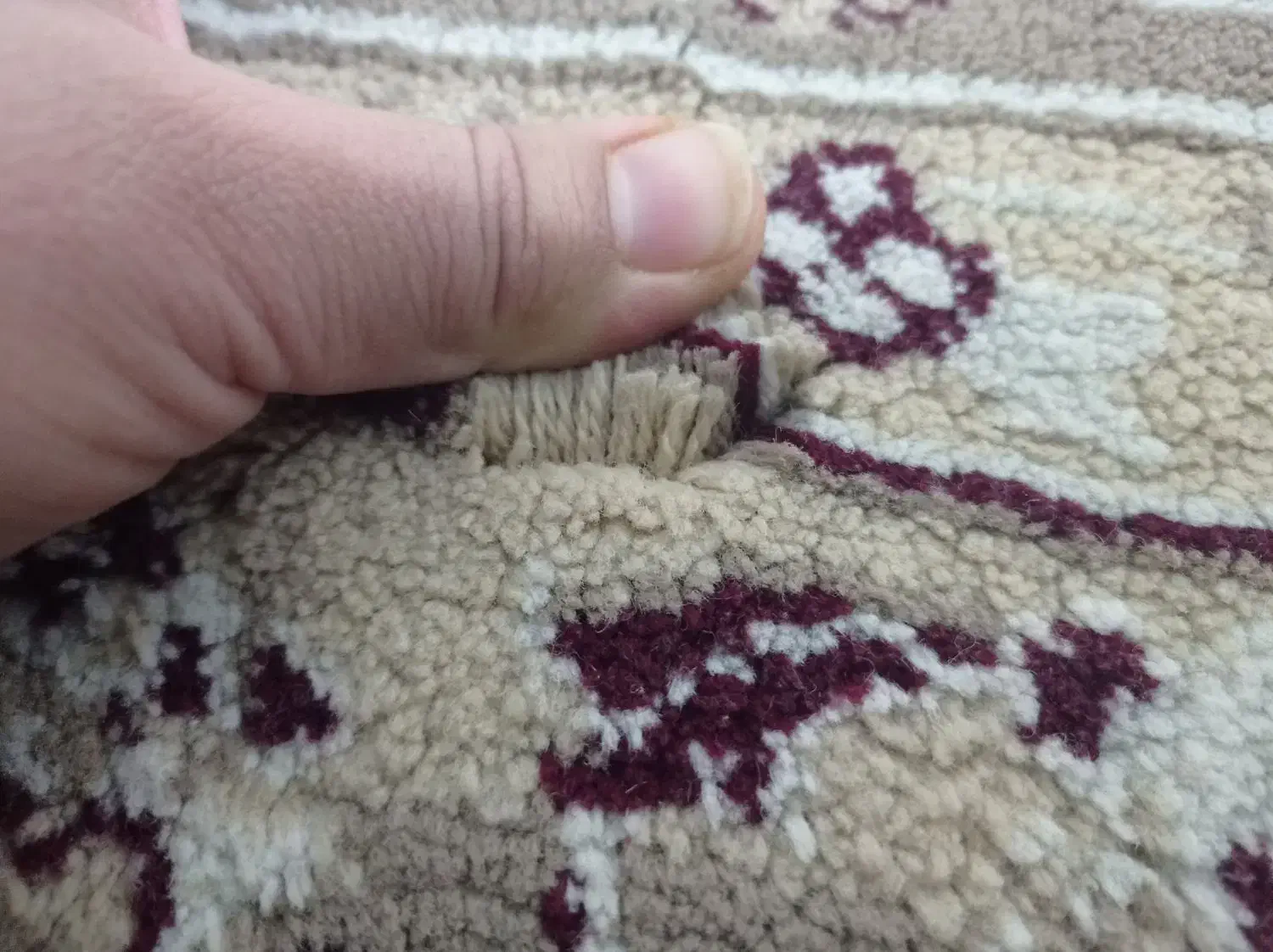 فرش کناره و گلیم|فرش|زاهدان, |دیوار