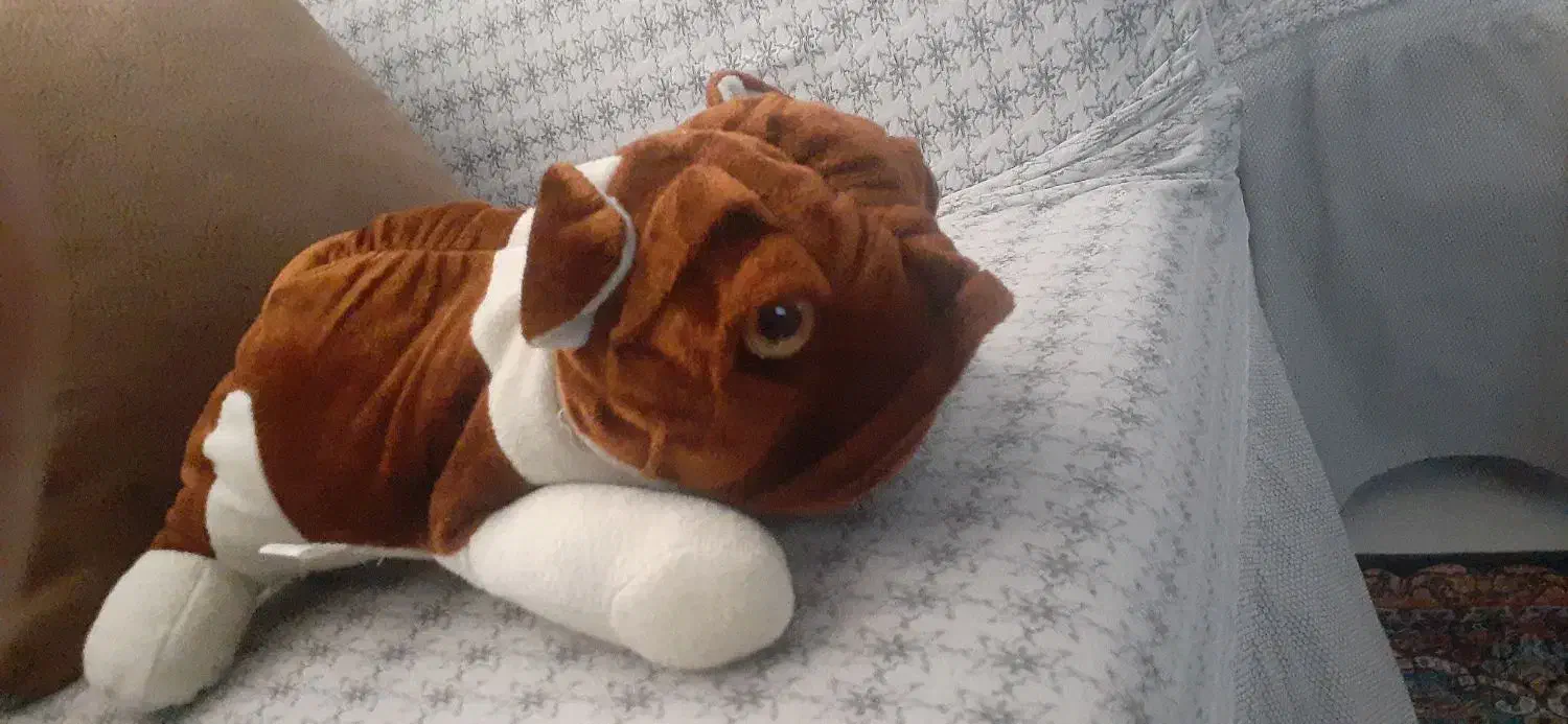 عروسک سگی|اسباب‌‌بازی|ری, شهادت|دیوار