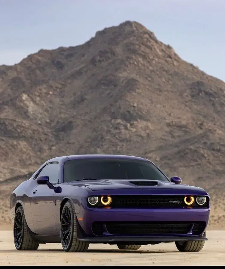 رنت  انواع  خودرو|خودرو اجارهای|کیش, |دیوار