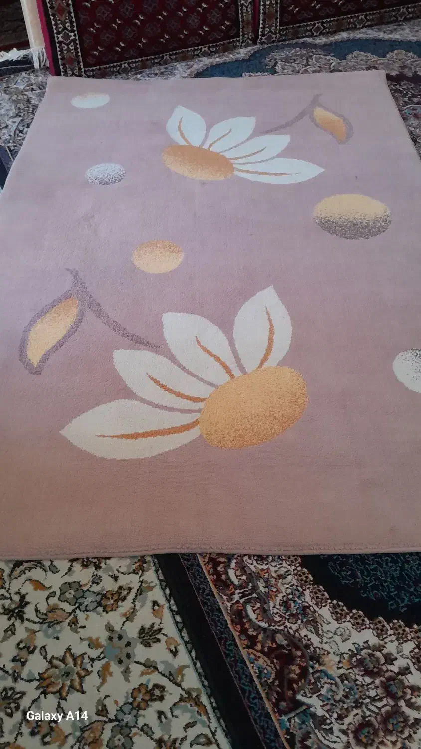 گلیم|گلیم، جاجیم، گبه|تایباد, |دیوار