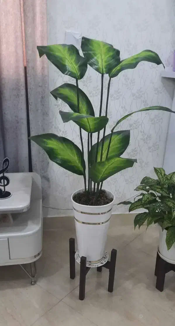 گیاه مصنوعی|گل مصنوعی|بندرعباس, |دیوار