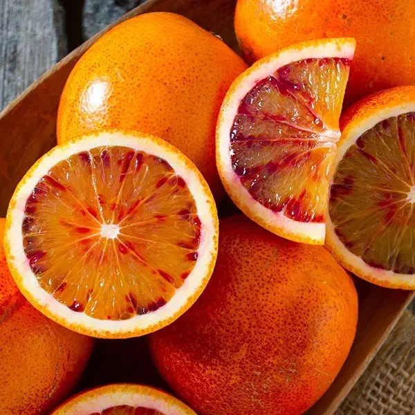 پرتغال درجه ۱|خوردنی و آشامیدنی|جویبار, |دیوار