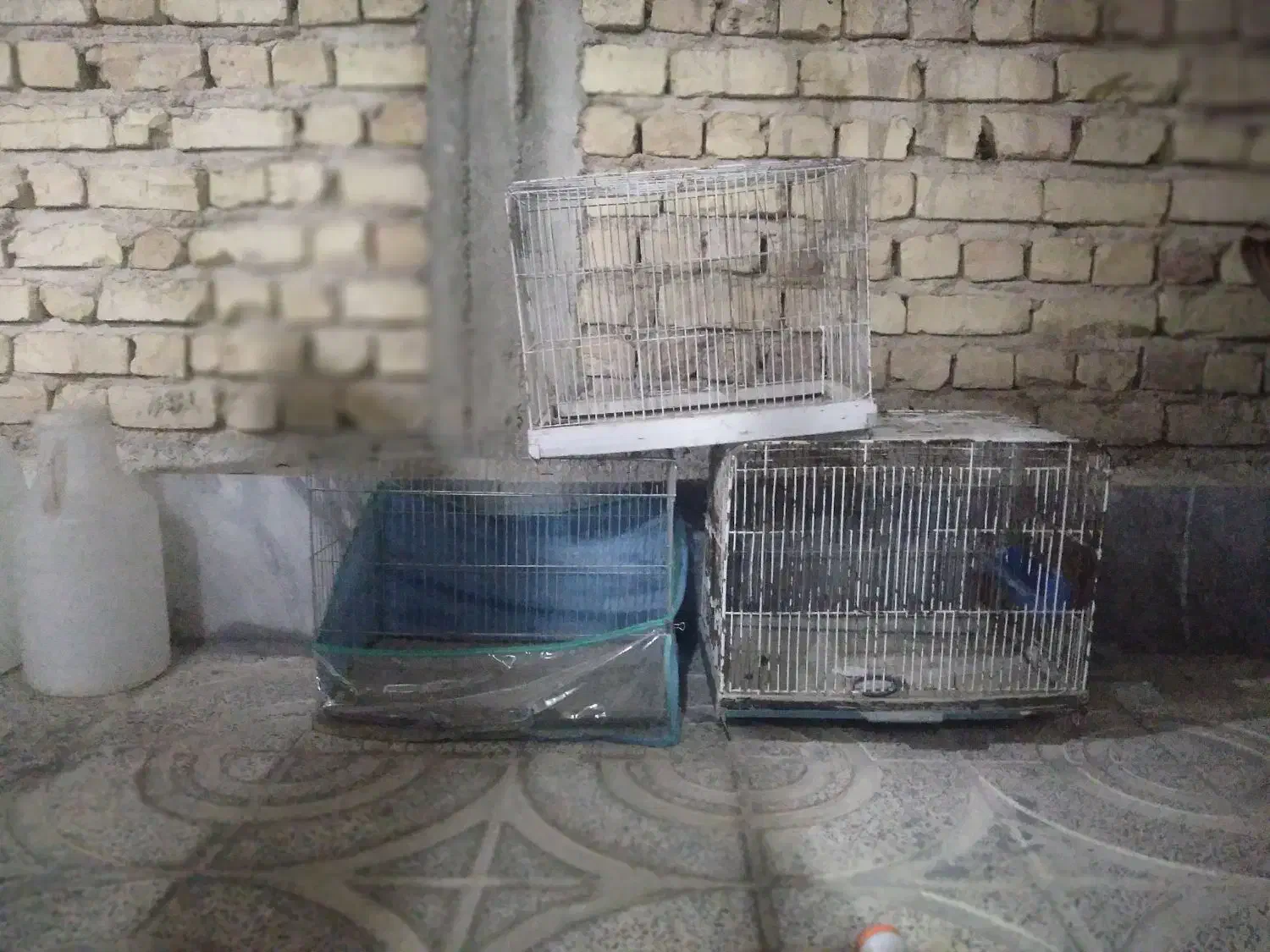 ۶ عدد قفس بزرگ قیمت خوب|لوازم جانبی حیوانات|مرودشت, ثبت احوال|دیوار