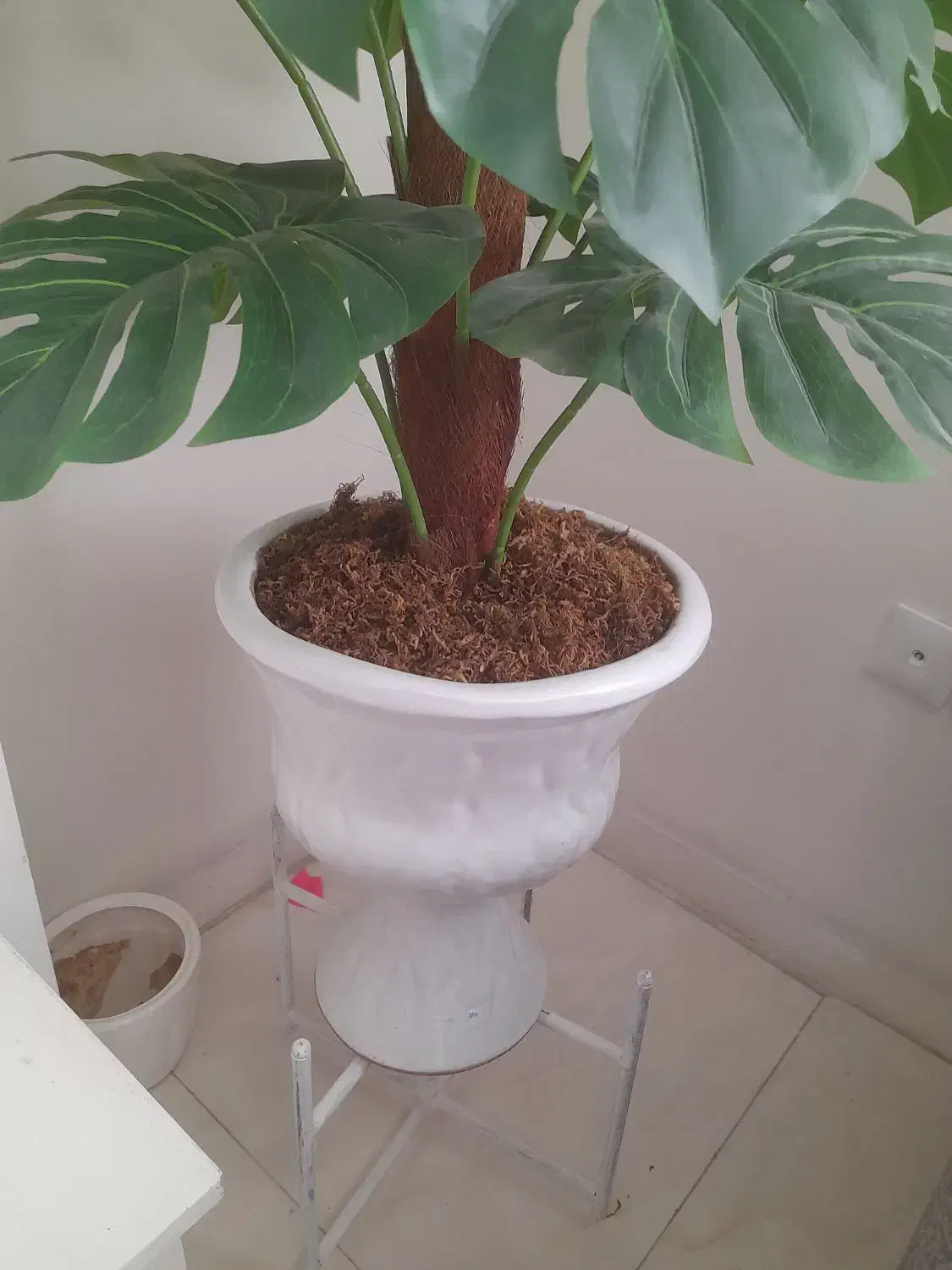 درختچه مصنوعی لمسی بسیار زیبا|گل مصنوعی|تهران, تهرانپارس غربی|دیوار