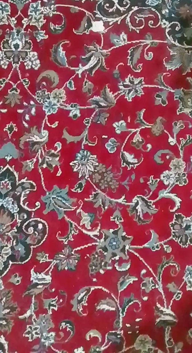 فروش قالی ۱۲متری|فرش|شوش, |دیوار