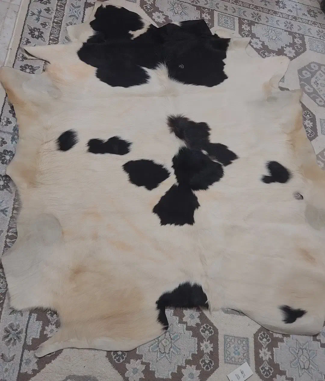 فرش|فرش|آبادان, |دیوار