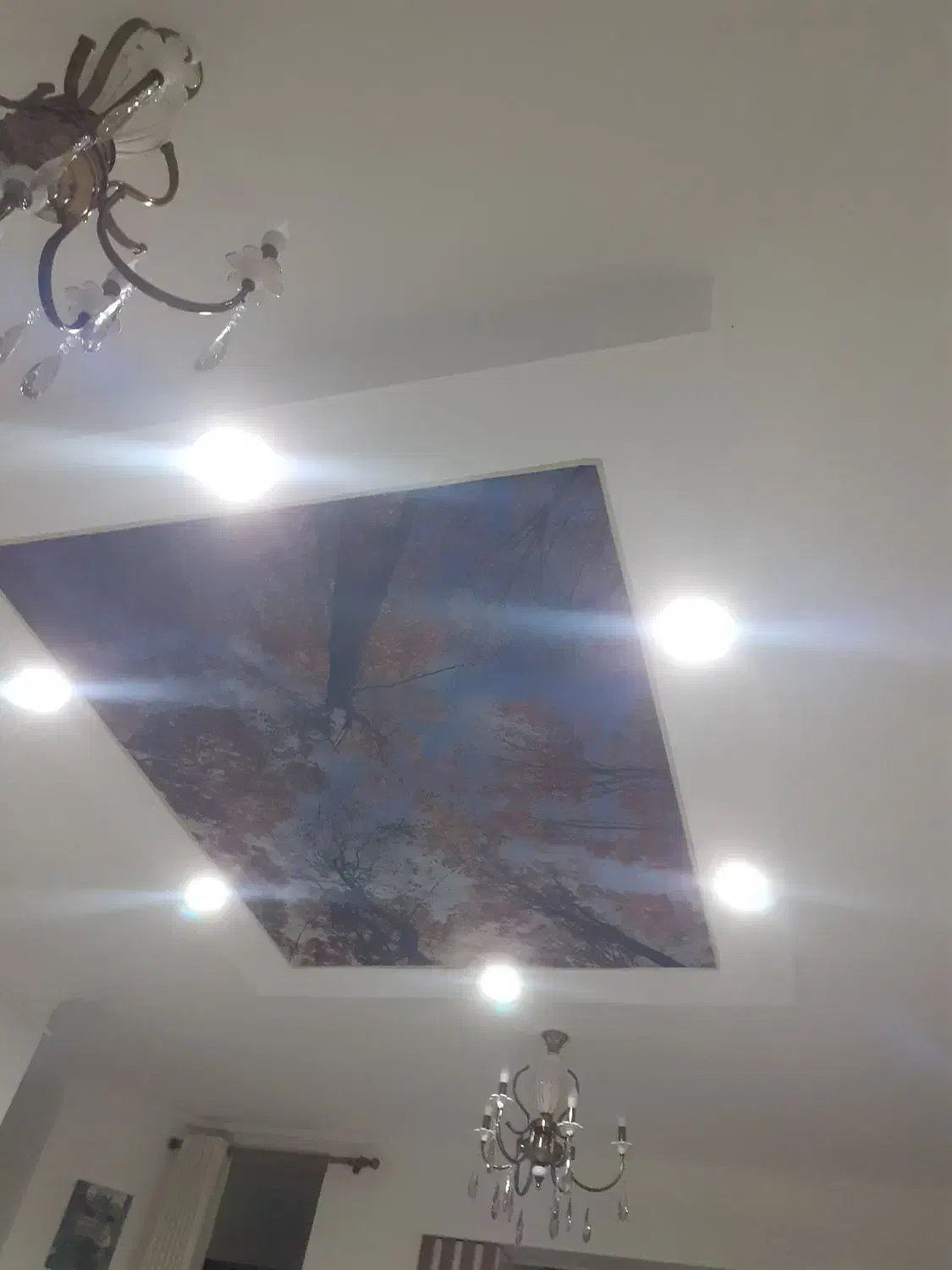 کلید و پریز وهالوژن|لامپ و چراغ|گرگان, |دیوار