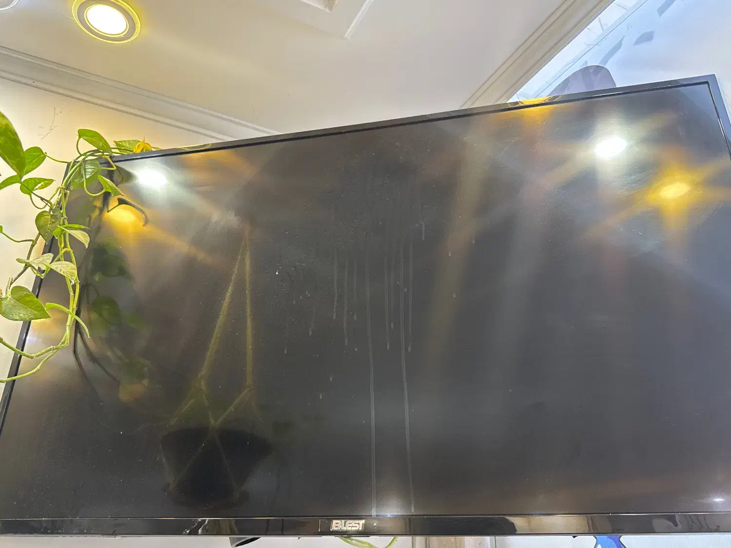 تلویزیون|تلویزیون و پروژکتور|یزد, |دیوار