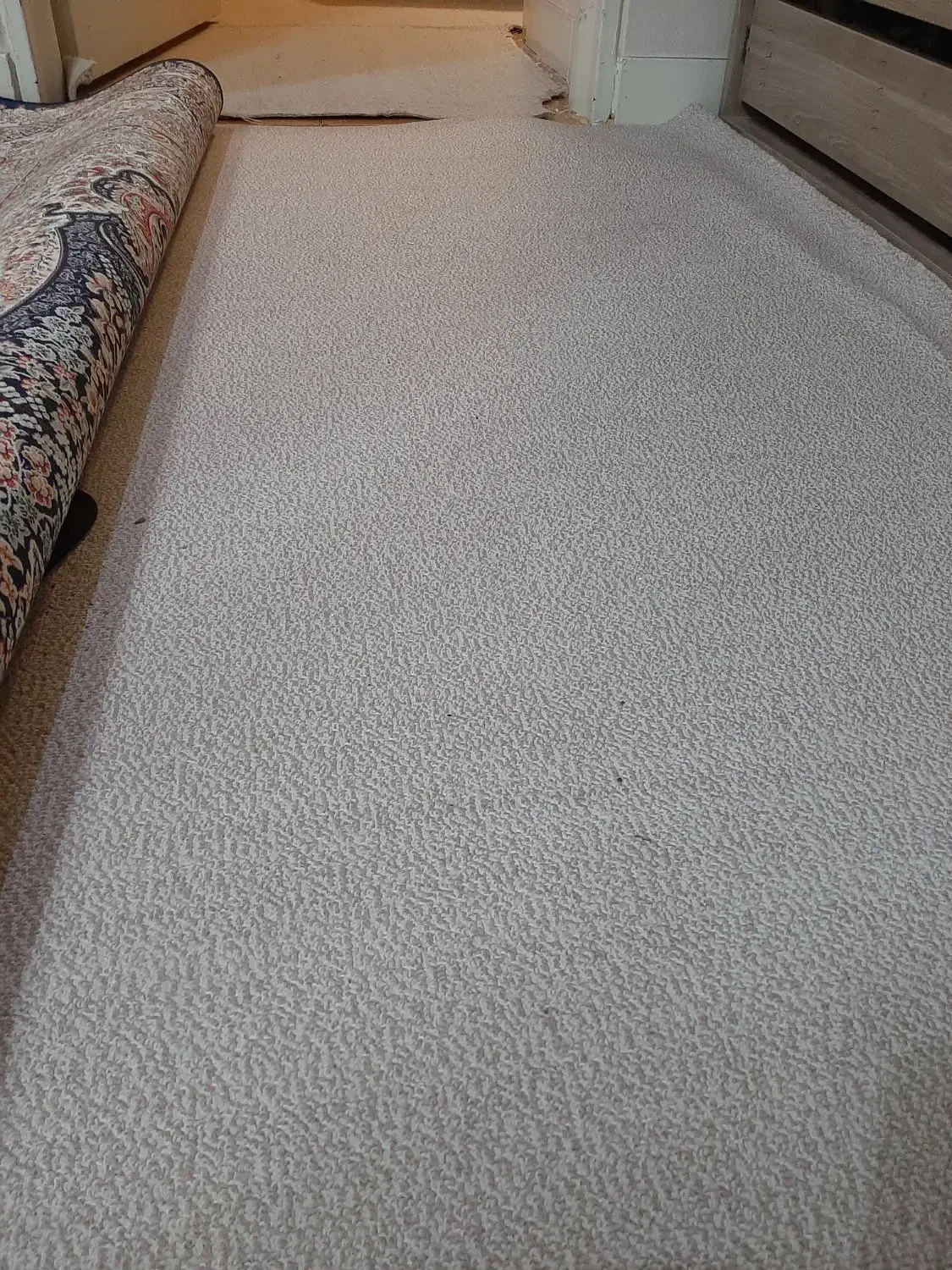 موکت پالاز رنگ کرم نسکافه ای|موکت|تهران, خواجه نظام الملک|دیوار