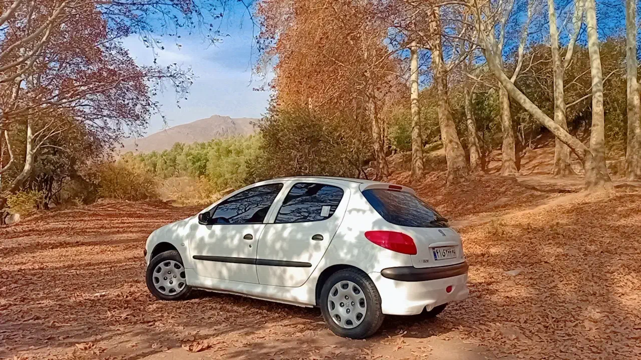 ۲۰۶ تیپ دو|خودرو سواری و وانت|رشت, حمیدیان|دیوار