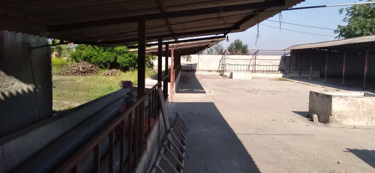 دامداری صنعتی|فروش دفتر صنعتی، کشاورزی، تجاری|نوکنده, |دیوار