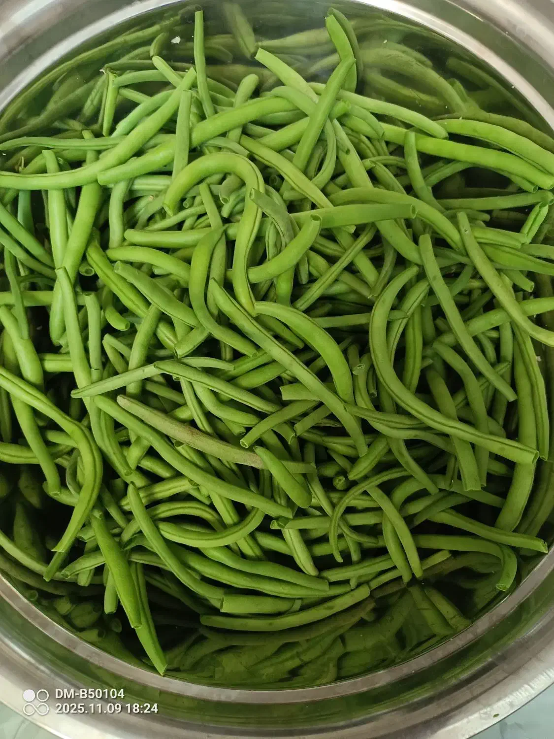 ترشی خانگی|خوردنی و آشامیدنی|ری, علایین|دیوار