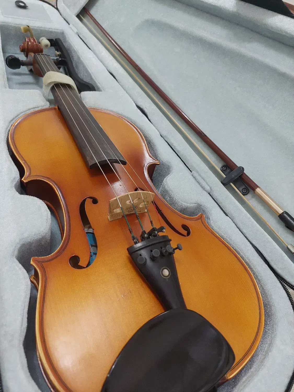 ویولن TF142|ویولن|اندیمشک, |دیوار