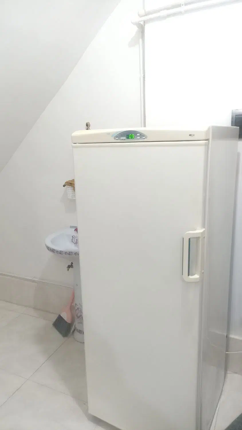 یخچال فریزر سالم زمانتی|یخچال و فریزر|سنندج, |دیوار