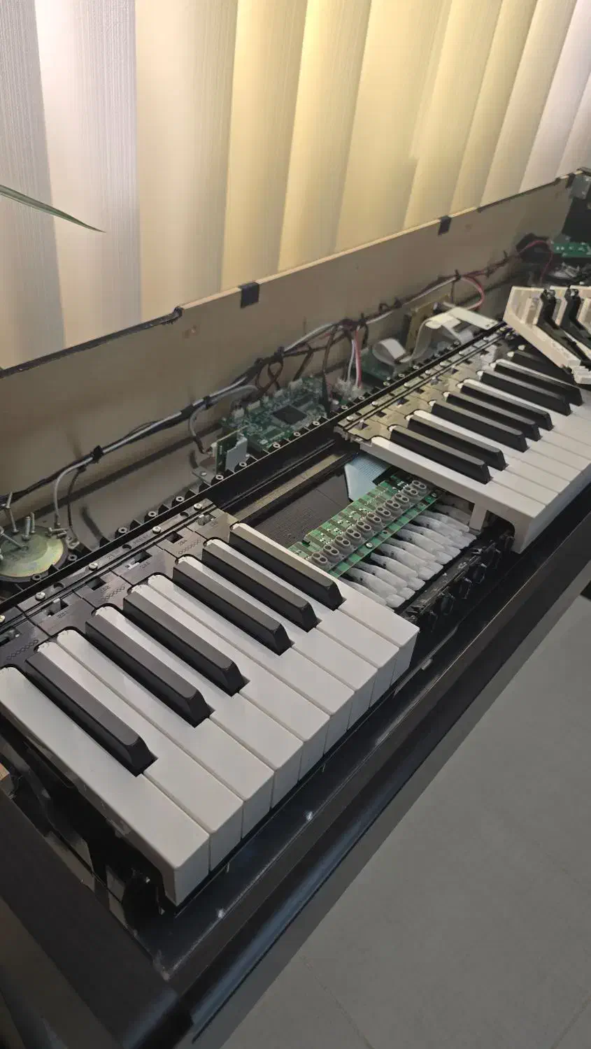 درون صدای یاماها بازسازی و تعمیرات حرفهای باروک|پیانو، کیبورد، آکاردئون|اهواز, زیتون کارمندی|دیوار