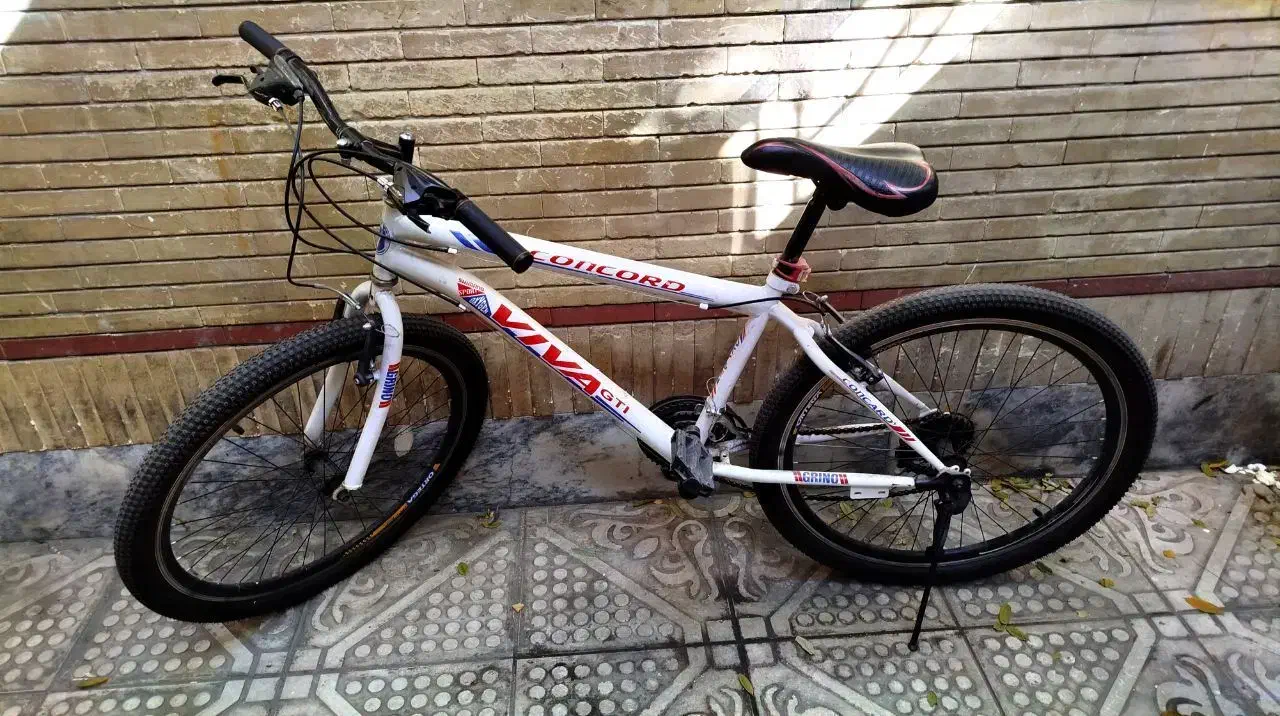 دوچرخه|دوچرخه، اسکیت، اسکوتر|مشهد, وحید|دیوار