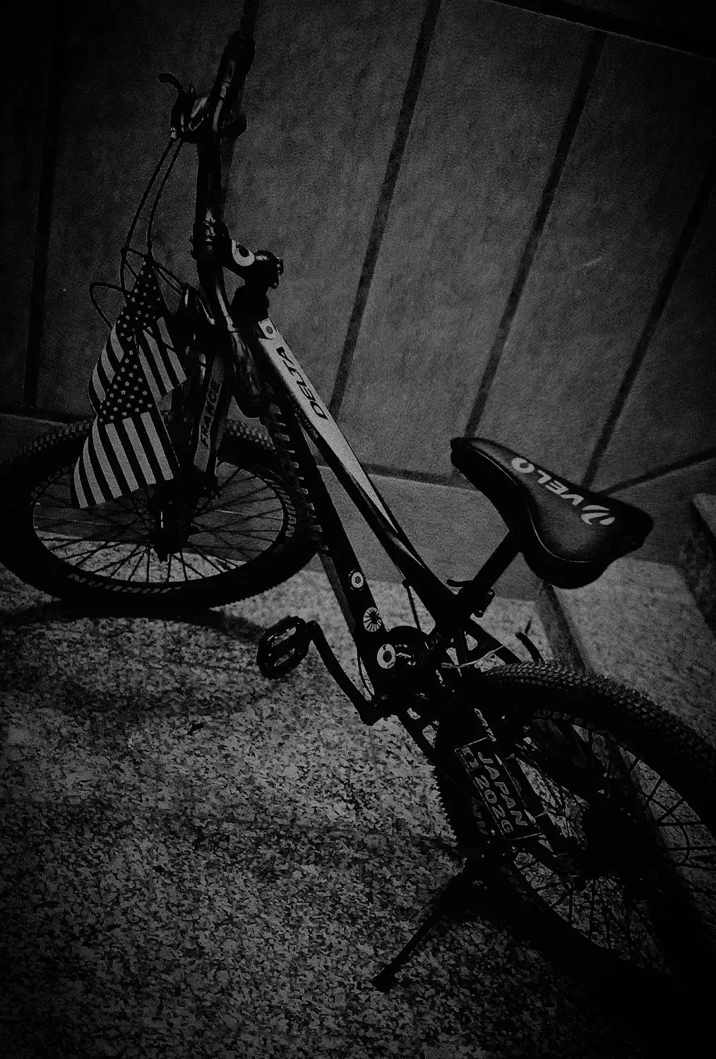 دوچرخه ۲۴|دوچرخه، اسکیت، اسکوتر|نسیم‌شهر, |دیوار