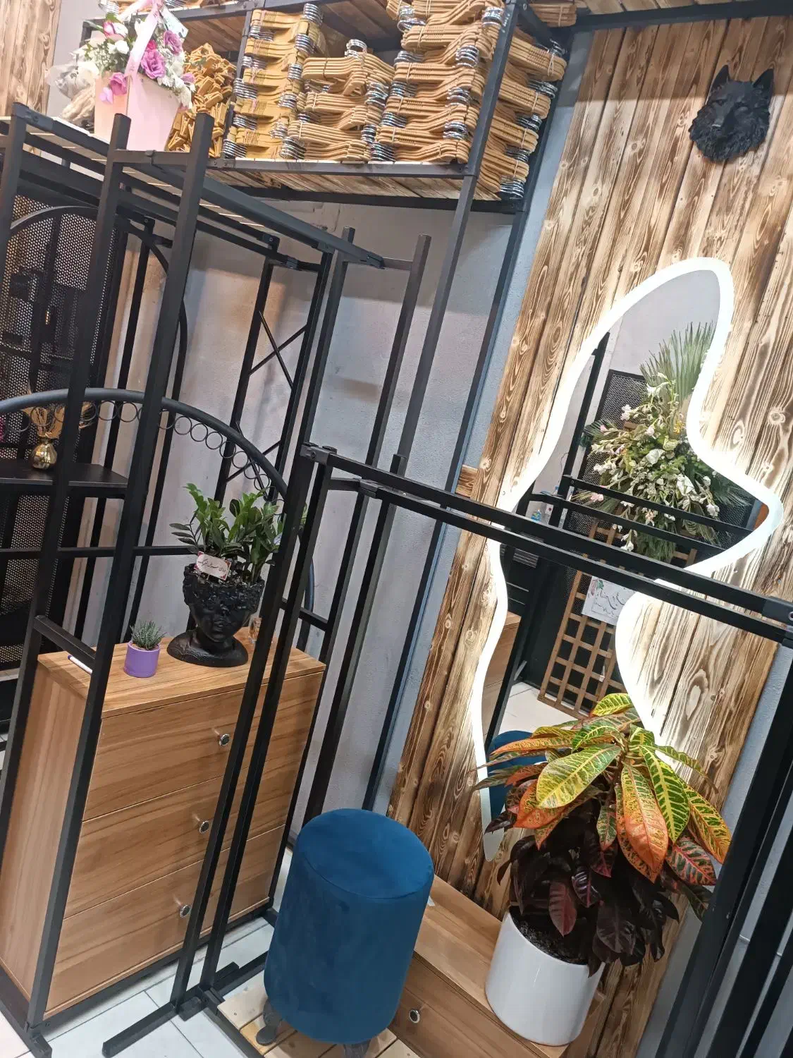 پخش انواع رگال ومانکن|فروشگاه و مغازه|مشهد, هفده شهریور|دیوار