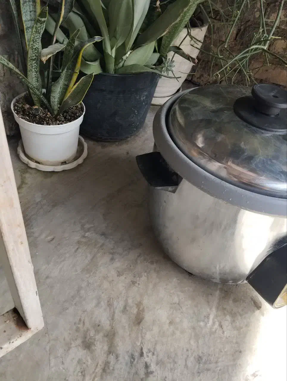 پولوپز|اجاق گاز و لوازم برقی پختوپز|ساری, |دیوار