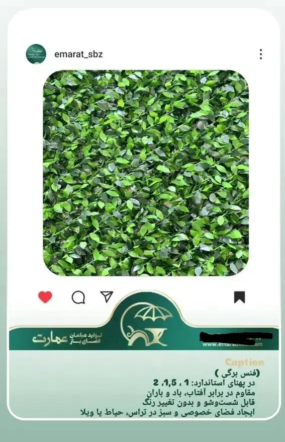 فنس برگی پرتقالی|مصالح و تجهیزات ساختمان|یزد, |دیوار