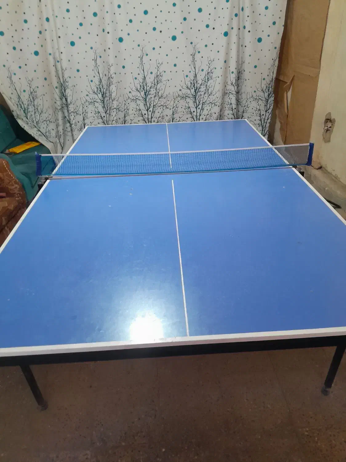 میز تنیس|تجهیزات ورزشی|درودزن, |دیوار