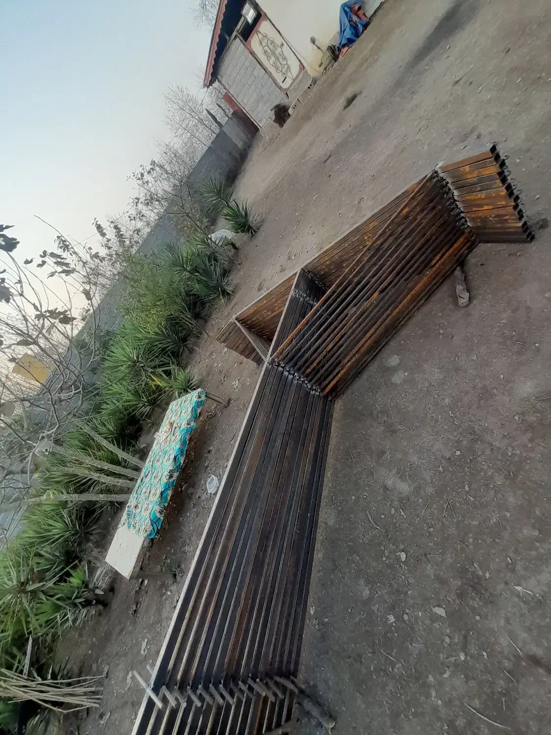 ساخت پایه کیوی استاندارد|خدمات باغبانی و درختکاری|لاهیجان, قیام|دیوار